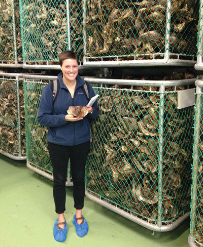 Rachel Ganson Nets Of Dried Fish Iceland