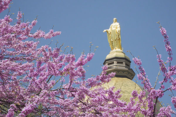Golden Dome in Spring