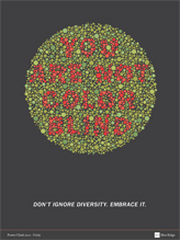 You Are Not Colorblind Poster