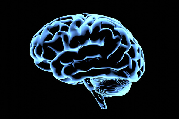 A blue glowing human brain is rendered in profile against a black background, clearly showing the cerebrum and cerebellum.