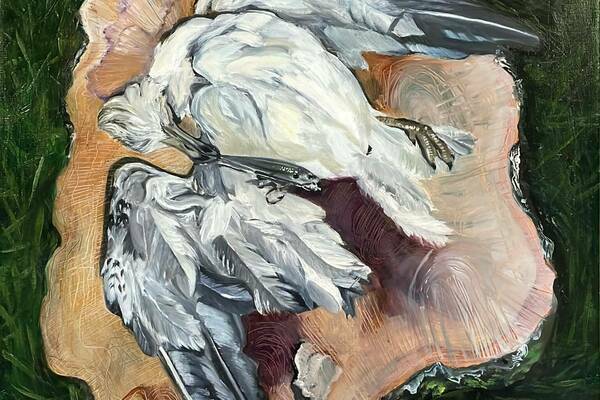 A painting of a deceased white and gray bird lying on its back on a light wood slice. A dark fishing lure is hooked in its beak, with reddish-brown staining visible on its body. Green grass surrounds the wood.